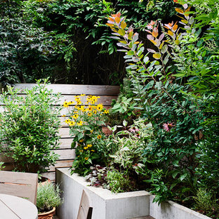 Design ideas for a mid-century modern backyard landscaping in New York.