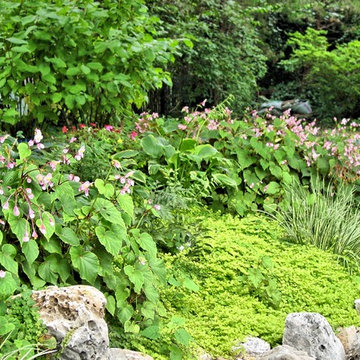 Part Shade Plant Combination