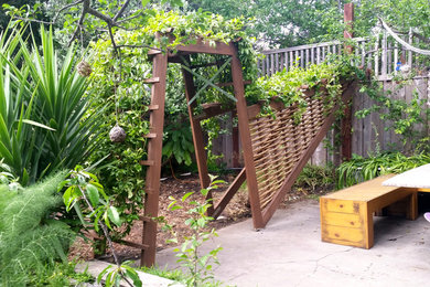 Photo of a small contemporary backyard landscaping in San Francisco.