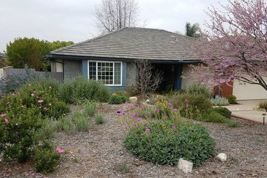 ロサンゼルスにある夏のトラディショナルスタイルのおしゃれな前庭 (ゼリスケープ、庭への小道、日向、コンクリート敷き	) の写真