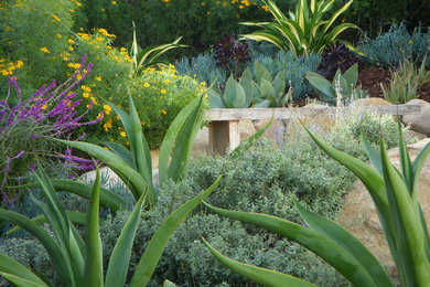 Photo of a mediterranean back full sun garden in Santa Barbara.