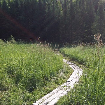 Path-Boardwalk through the wet meadow