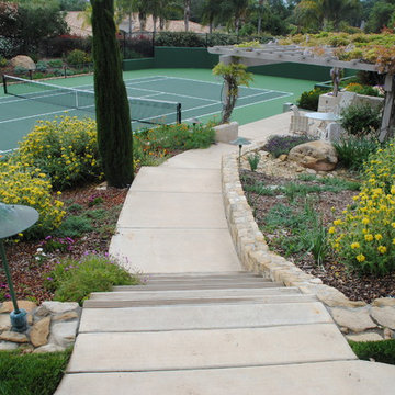Path to Tennis