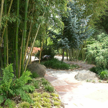Pathway into the Garden