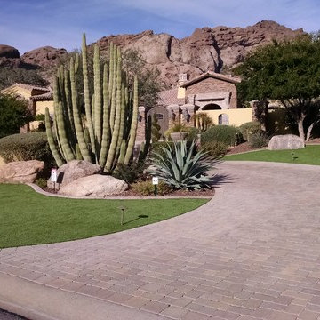 Pathways