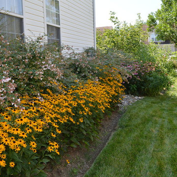 Patio, Curb Appeal and Planting Project - Upper Marlboro