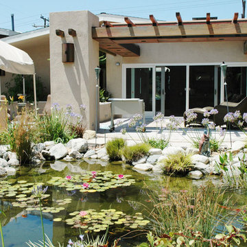 Patio Fish Pond Design Los Angeles