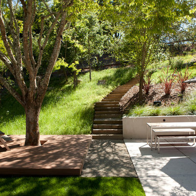 Inspiration for a contemporary retaining wall landscape in San Francisco.