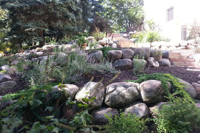 Photo of a traditional landscaping in Minneapolis.