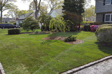 Immagine di un grande giardino tradizionale esposto in pieno sole davanti casa