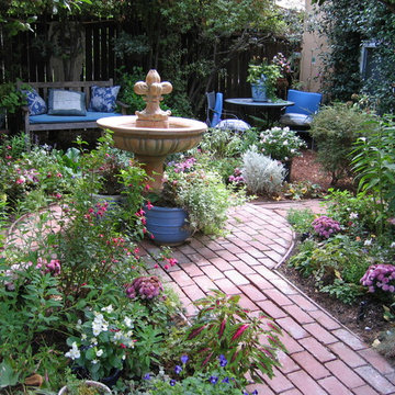 Peaceful courtyard garden