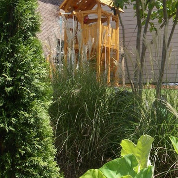 Peeking at Towering Play Set From the Secret Hiding place in the jungle