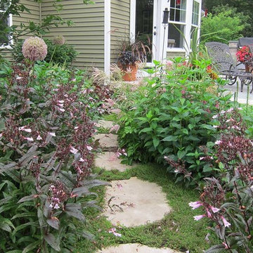 Penstemon in full bloom surrounds this informal flagstone walkway