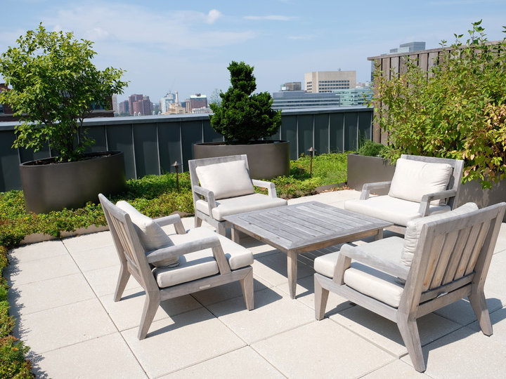 Landscape - Modern Landscape