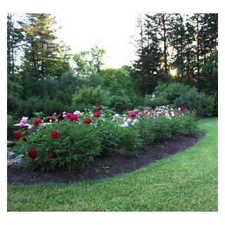 Peonies in flower. - Traditional - Landscape - San Diego - by Andrew ...