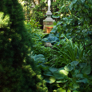 Perenial Garden at Suburban Oasis