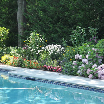 Perennial Garden for Pool Area - In Westfield, NJ