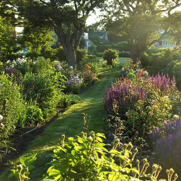Perennial garden in late afternoon