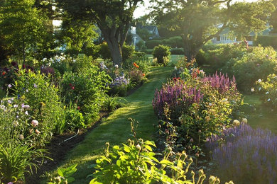 Imagen de jardín contemporáneo en verano con exposición parcial al sol