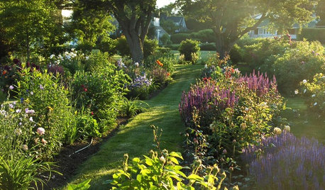 The Garden Guide: What to Look for in Your New Home