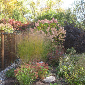 Perennial garden in the fall Loudonville, NY
