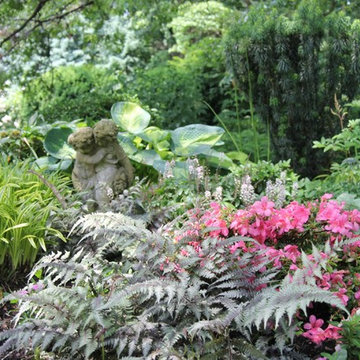 Perennial Shade Garden
