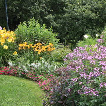 Perennials and annuals mixed garden.