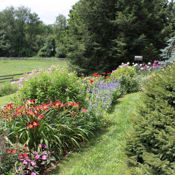 Perennials, and annuals mixed garden.