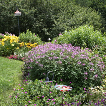 Perennials and annuals mixed garden