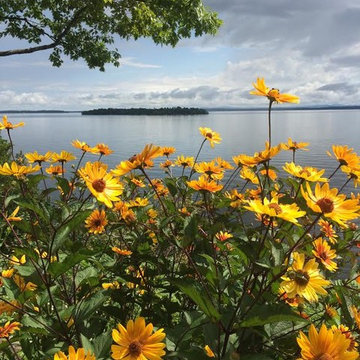Perennials Over Lake Champlain