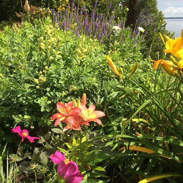 Perennials Over Lake Champlain