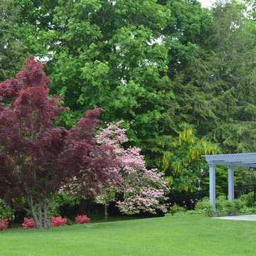 Pergola and Evergreens