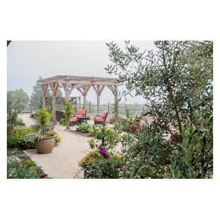 Pergola Garden Traditional Landscape San Francisco By Landzen Landscape Design