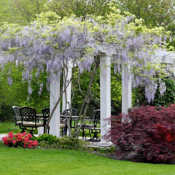 Pergola in Spring!