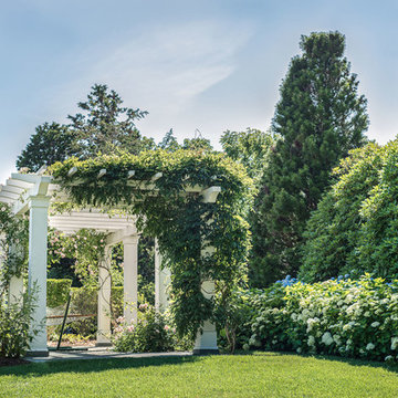 Pergola with Wisteria and New Dawn Roses On Cape Cod