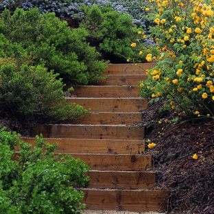 This is an example of a small rustic sloped xeriscape full sun garden for autumn in San Francisco with a garden path and gravel.