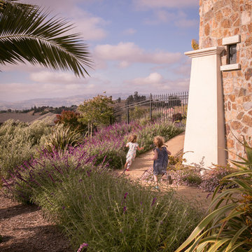 Petaluma Hilltop Garden
