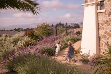 Modelo de camino de jardín de secano mediterráneo grande en primavera en patio delantero con exposición total al sol y gravilla
