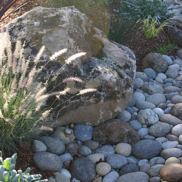 Petaluma Landscape-Dry River Bed