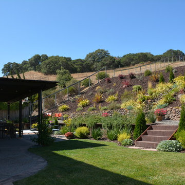 Petaluma Terraced Yard