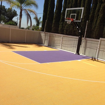 Peter B's Pro Dunk Platinum Basketball System on a 46x35 in Buena Park, CA
