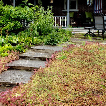 Peterborough, natural stone steps and thriving ground cover