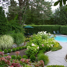 pool or backyard