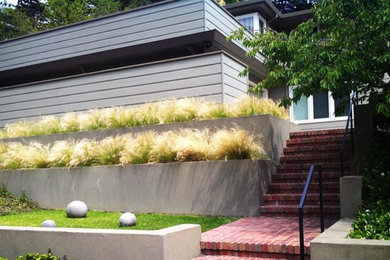 Источник вдохновения для домашнего уюта: засухоустойчивый сад среднего размера на переднем дворе в стиле модернизм с подпорной стенкой