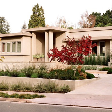 Piedmont Modern Garden