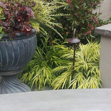 Piedmont Residence