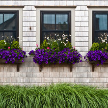 how to get your window boxes right