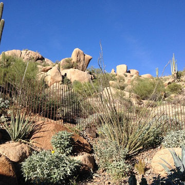 Pinnacle Peak Modern | Desert Landscape and Vertical Fence
