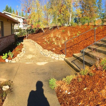 Placerville Lawn Replacement