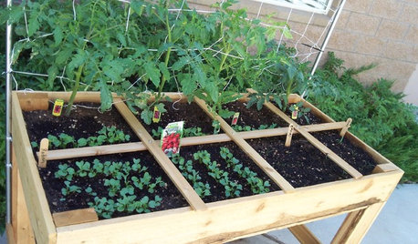 Maximize Harvests With Square-Foot Gardening